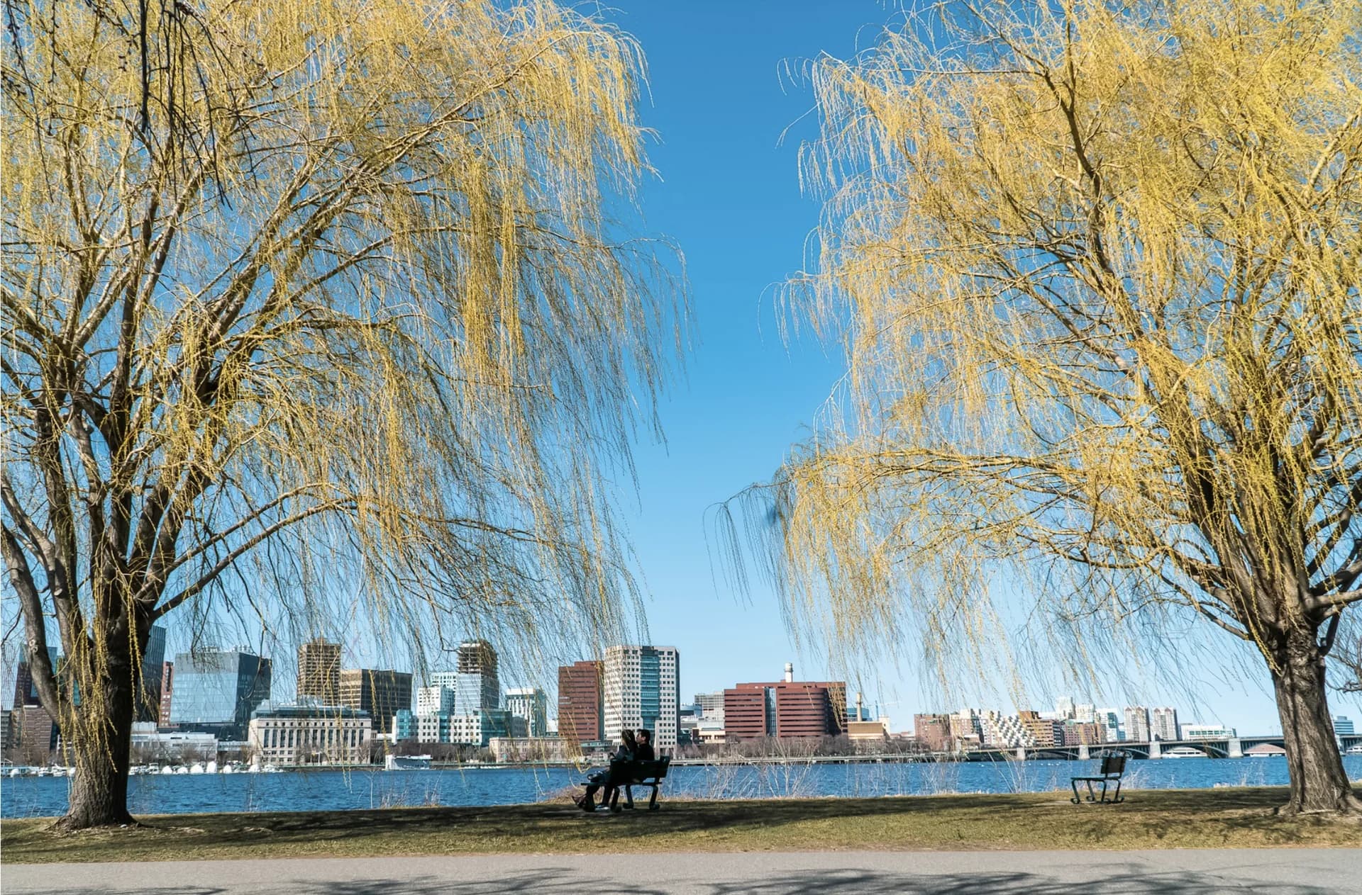 Homes for sale in Cambridge, MA