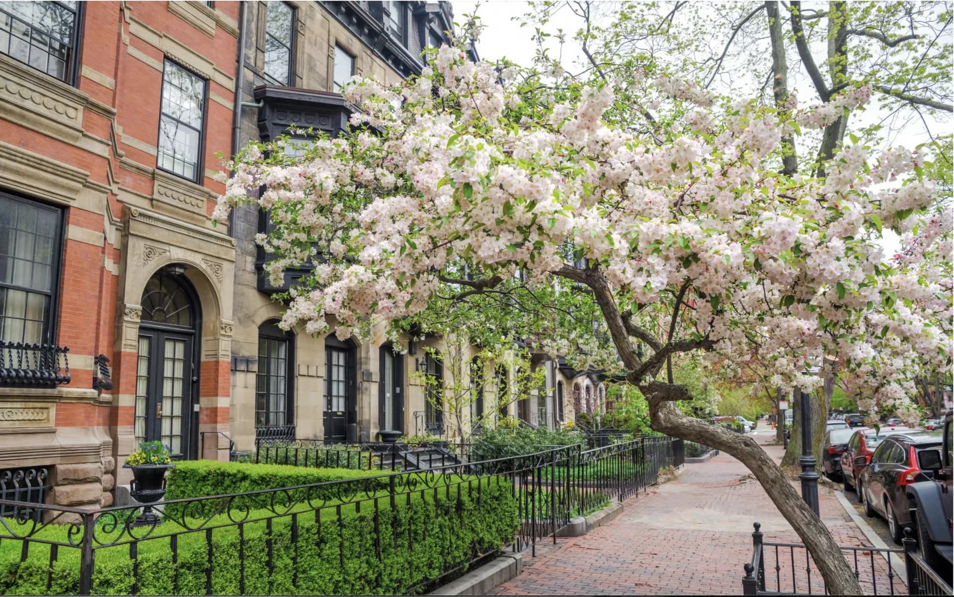 Homes for sale in Brookline, MA